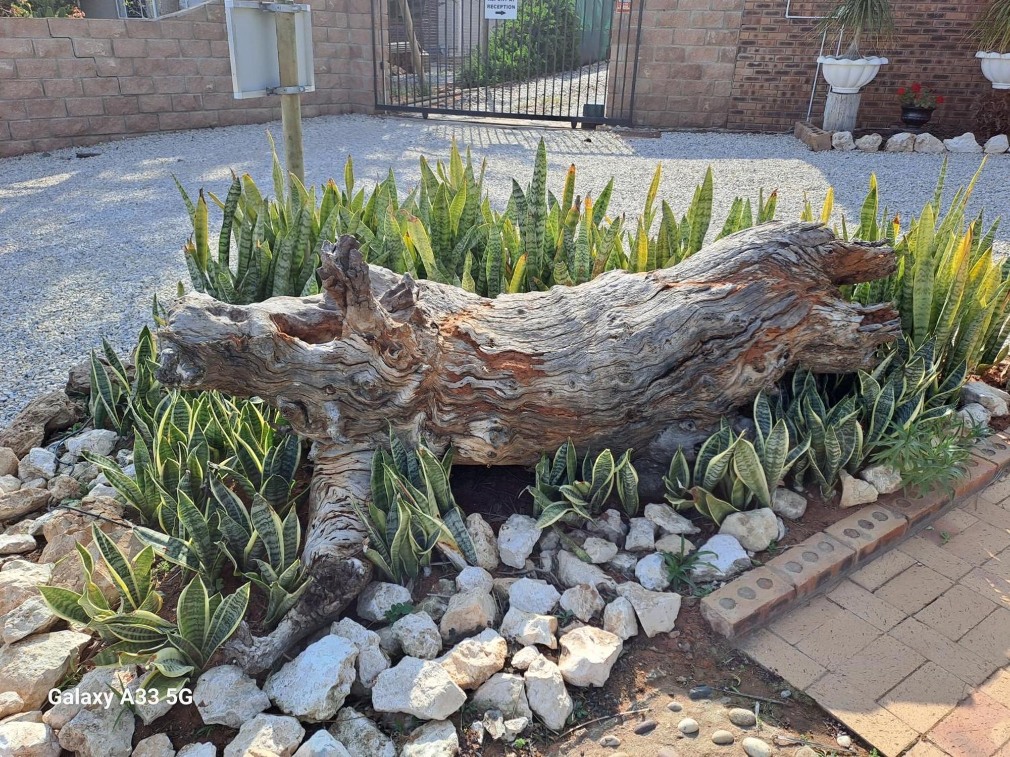 Lutzville The Golden Grape B&B المظهر الخارجي الصورة